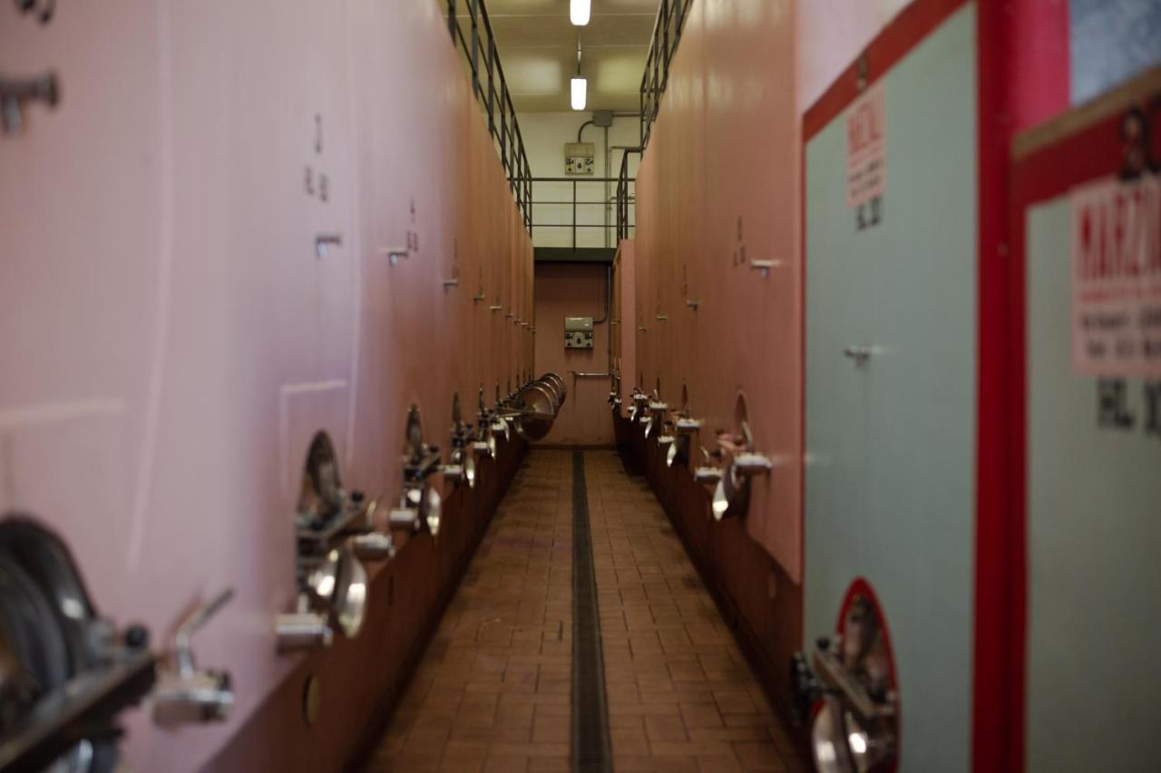 Appartamenti Casalsole Cerreto Guidi Exterior foto